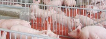 香港6合宝典资料