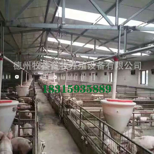 养殖自动伺喂料线